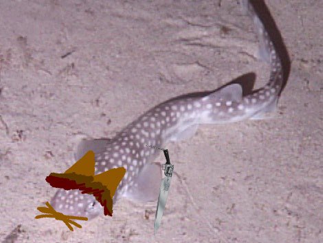 To: All Staff

The following SHARKS who broke into the DEBT Tower yesterday are NOT to be allowed into the DEBT Tower under any circumstances.