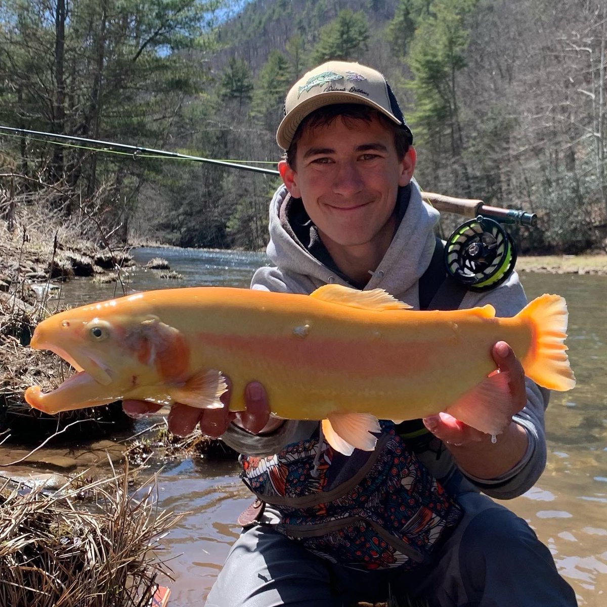 Hunter Fink tweet media