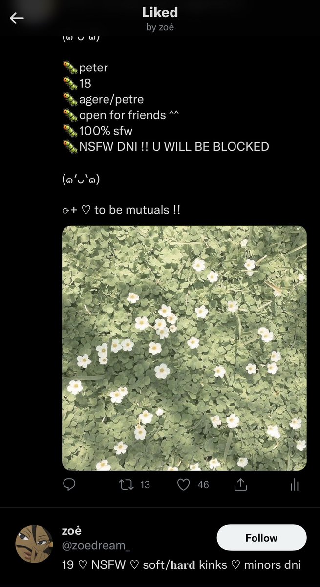 puppicafe's tweet photo. ugh. what part of nsfw dni do ppl not understand https://t.co/ym2oSE2srF