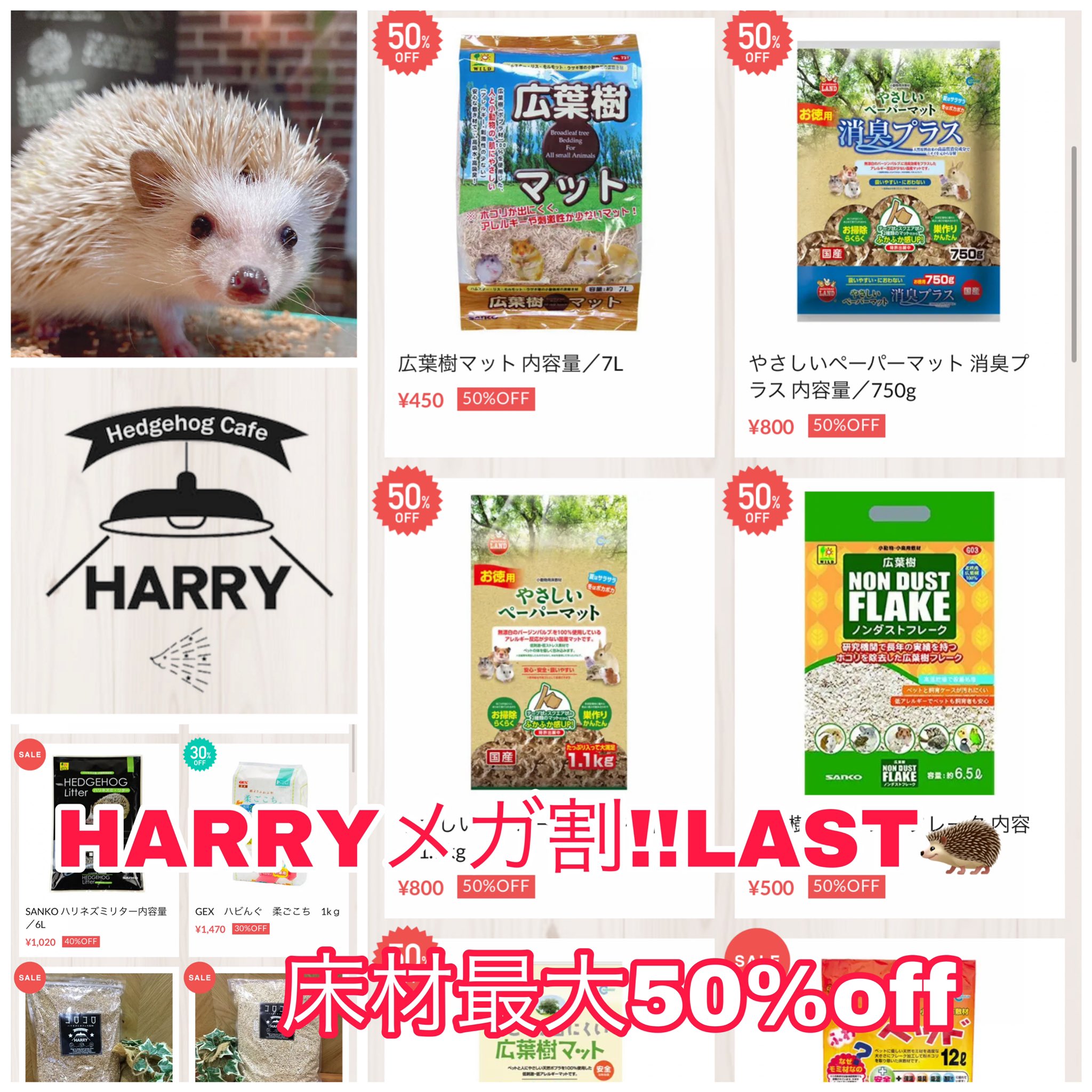 ハリネズミカフェ Harry六本木本店 Harinezumicafer Twitter