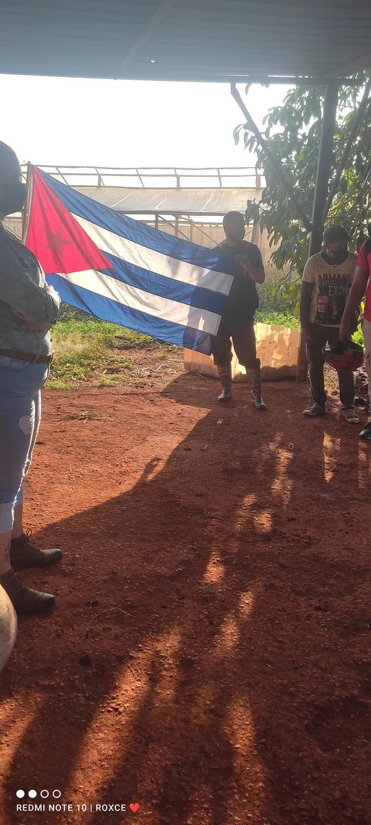 RoxceGuerra's tweet photo. Los jóvenes campesinos de Boyeros dando el paso al frente. https://t.co/FCCwvhLgtv