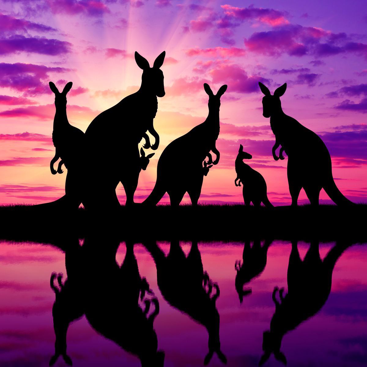 Jade Montano tweet media