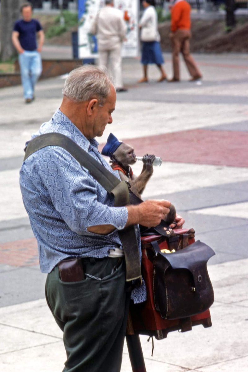 Old School Boston tweet media