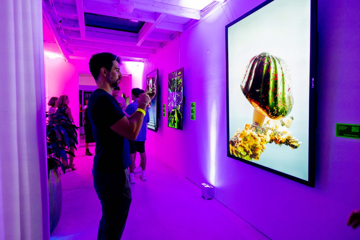 LAST DAY! Come down to Twenty Twenty Six Gallery Bondi before 5pm today to catch the last glimpse of Satellite. We might be closing down the physical but the exhibition and works will stay available for purchase through: foundation.app/@satellite 🛰🛰🛰