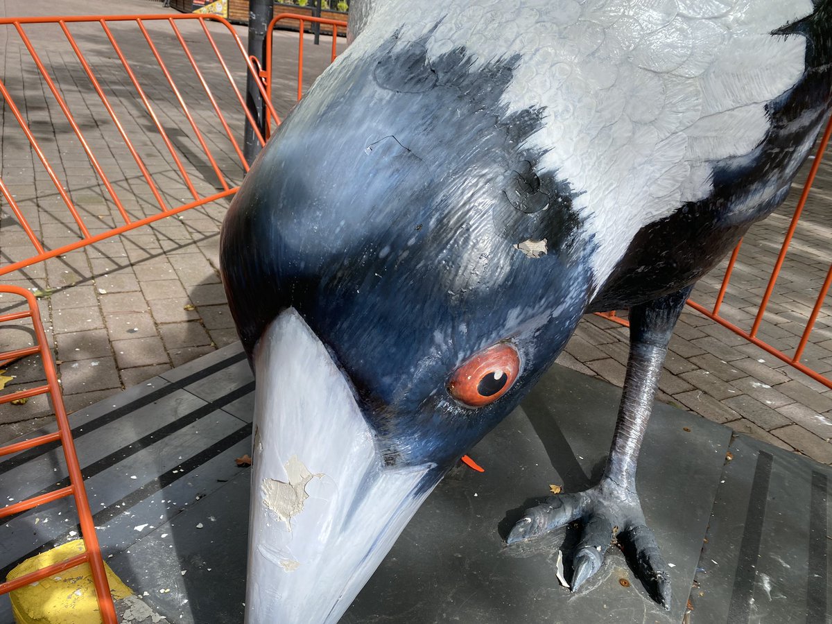LewisHaskew's tweet photo. Canberra’s giant magpie sculpture has been targeted by vandals again.
Poor Big Swoop 😢
@mixcanberra @CityRenewalCBR https://t.co/htxGtznKOk