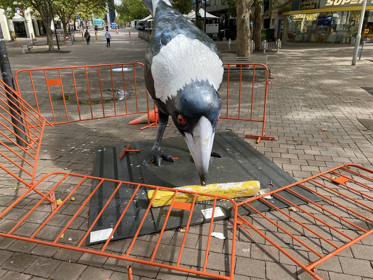 LewisHaskew's tweet photo. Canberra’s giant magpie sculpture has been targeted by vandals again.
Poor Big Swoop 😢
@mixcanberra @CityRenewalCBR https://t.co/htxGtznKOk