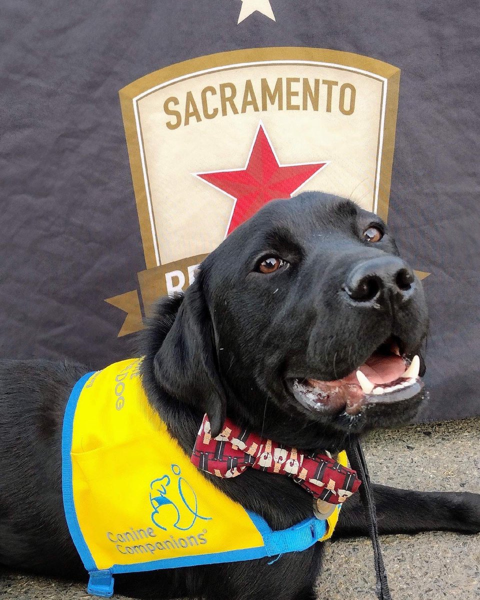 Thanks to the <a href="/SacRepublicFC/">Sacramento Republic FC</a> for donating tickets to <a href="/canineorg/">Canine Companions®</a>! Puppy Don is ready to cheer on his favorite team.