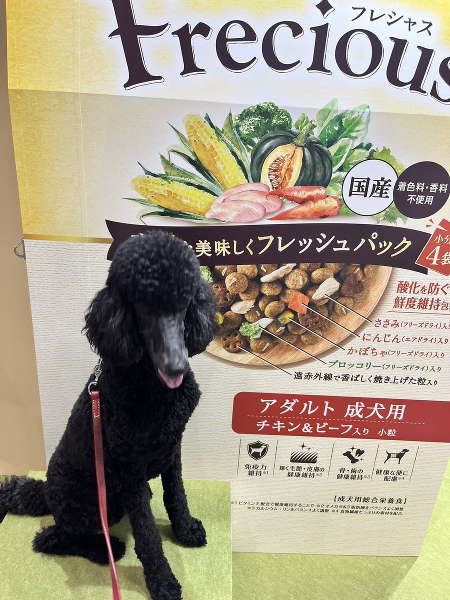 Liecon's tweet photo. #フレシャス https://t.co/NY9Mqzy7Nq