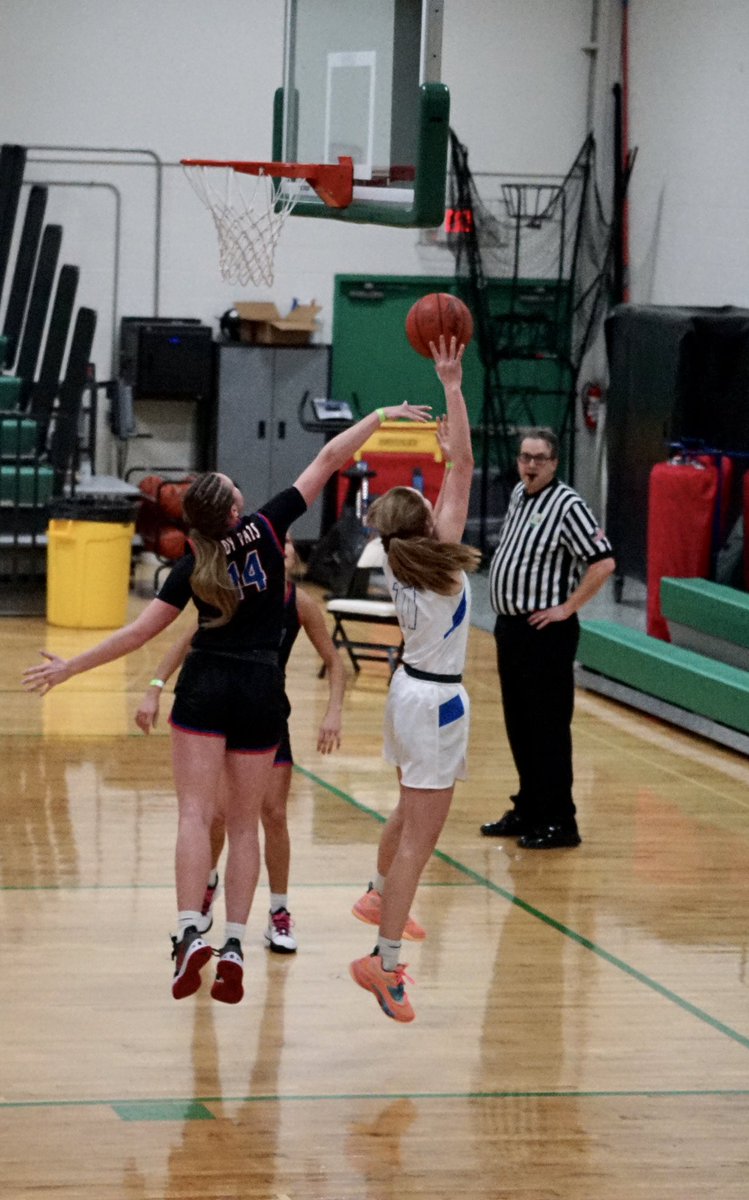 Lindsay Meek tweet media