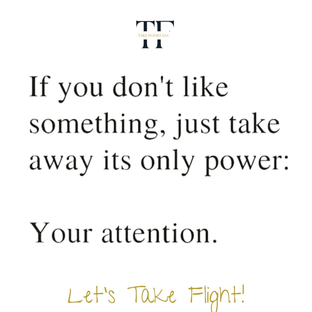 Alexis Silva_Take Flight,LLC tweet media