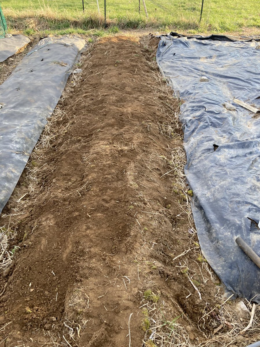 yanetCornell's tweet photo. #SOSCuba para que todos los cubanos de a pie, tenga la opción de sembrar sus vegetales o comprarlo en el mercado libre. #RegimenCastroCanelFueraDelPoder https://t.co/eNwt5hWNdB
