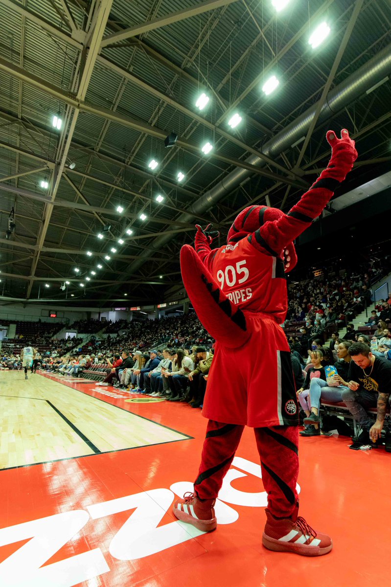 DJudahSports's tweet photo. Had a fun time shooting the Raptors 905 game this afternoon.

Great games from the rookies:

Banton: 21PTS/7REB/9AST
Champagnie: 28PTS/15REB/7 3PM

The 119-113 win over Greensboro secured the #1 record in the league and home court through the playoffs.

#WeTheNorth #raptors905 https://t.co/YTzv7rvKph