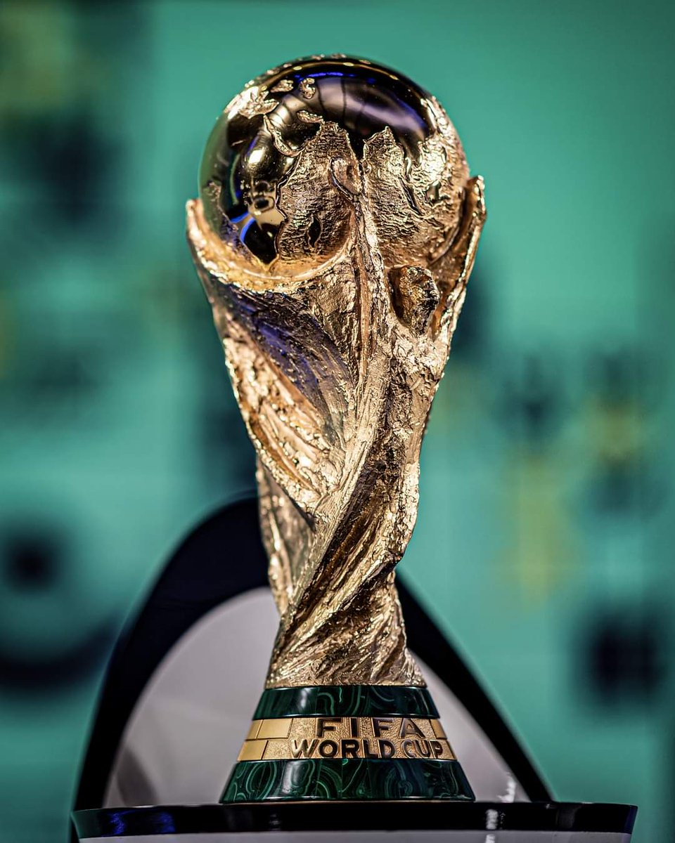 _risly_7's tweet photo. To Qatar ??? ❤💪🏻
#Qatar2022 #AskBruno #AskCristiano #AskRashford #AskFred #AskJesse #AskUnited https://t.co/iCNmBrq5xB