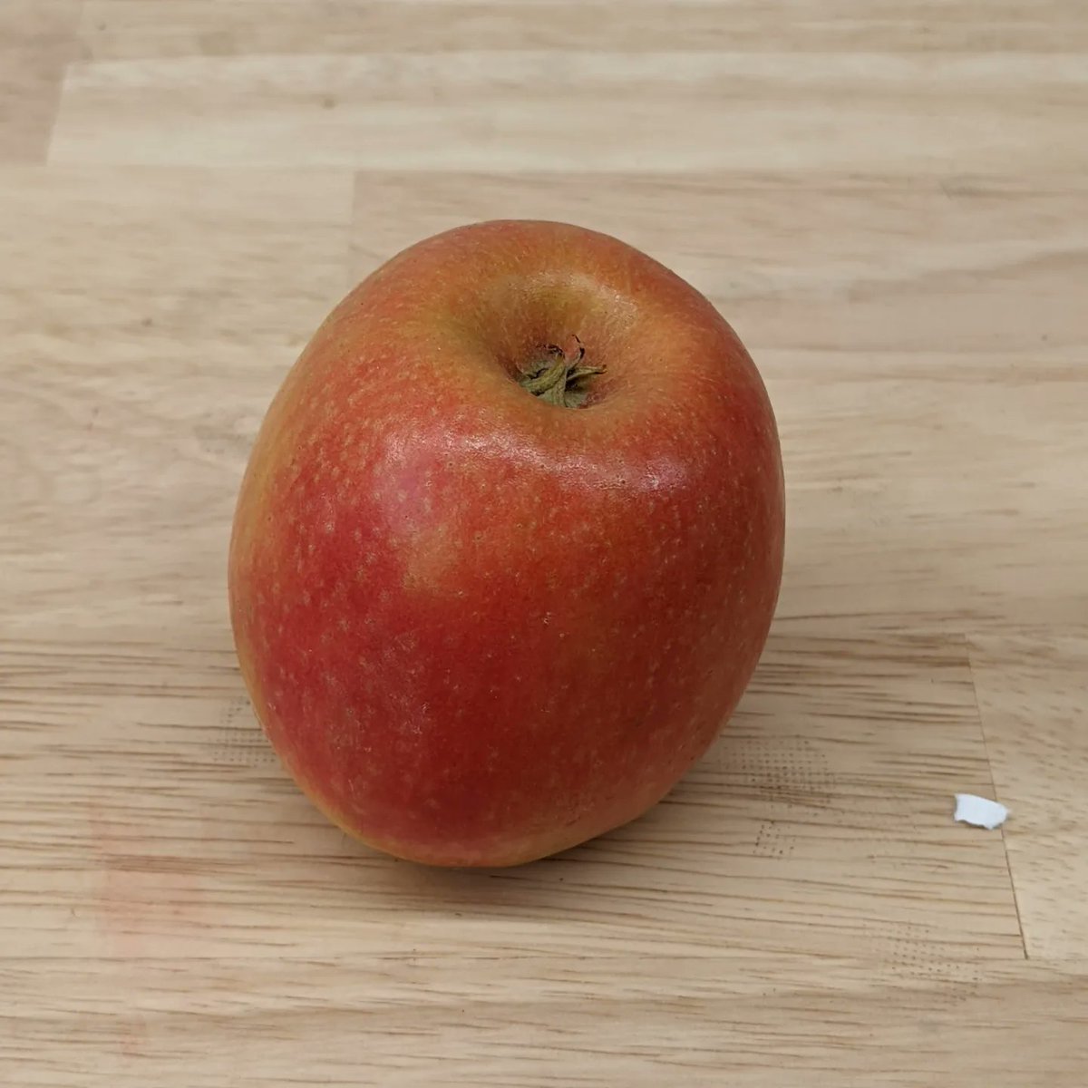 Aleksandr Sasha Motsjonov tweet media