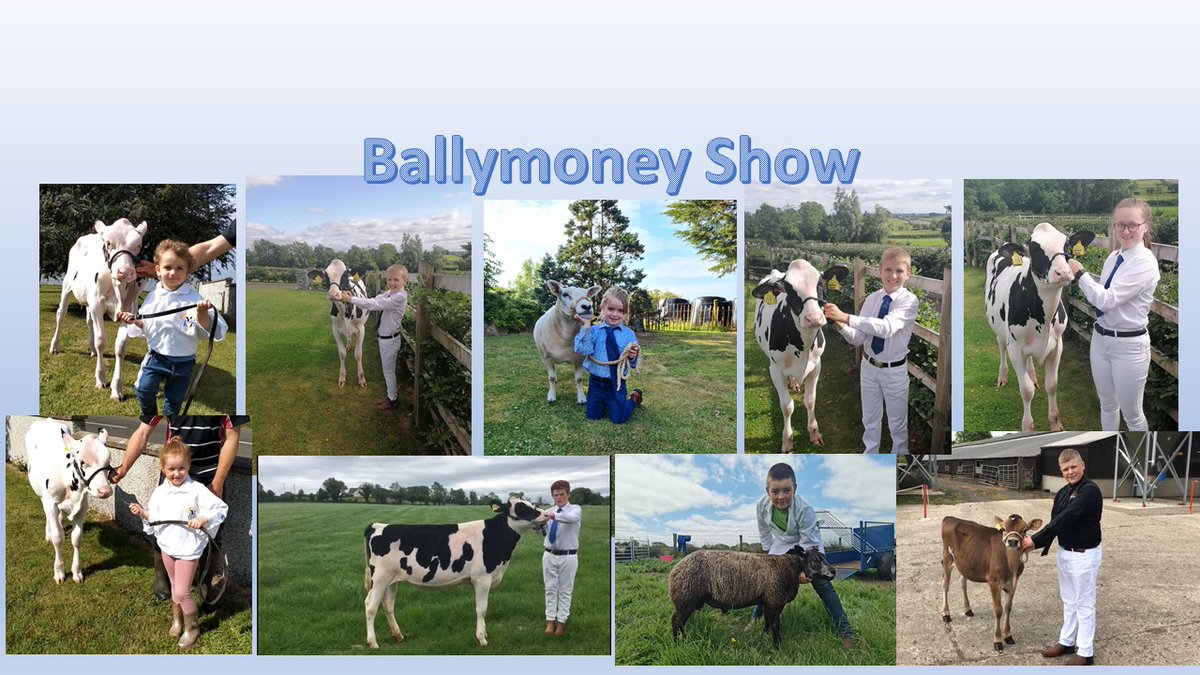 Showing Scene tweet media