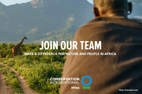 #JobAlert: <a href="/ConservationOrg/">Conservation Intl</a> is seeking a Global Internal Communications Manager to keep our diverse &amp; dispersed global staff connected. 

Position is open to all countries where CI has offices, including South Africa, Kenya, Botswana, Liberia &amp; Madagascar. lnkd.in/dXDzChRX