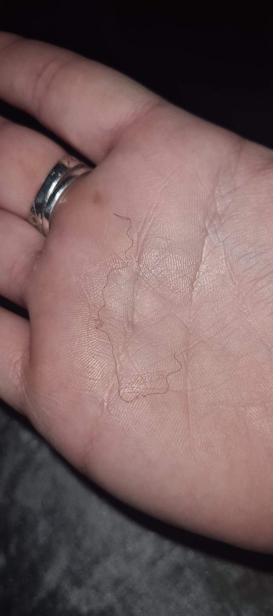 #TubbyTv ©️ tweet media