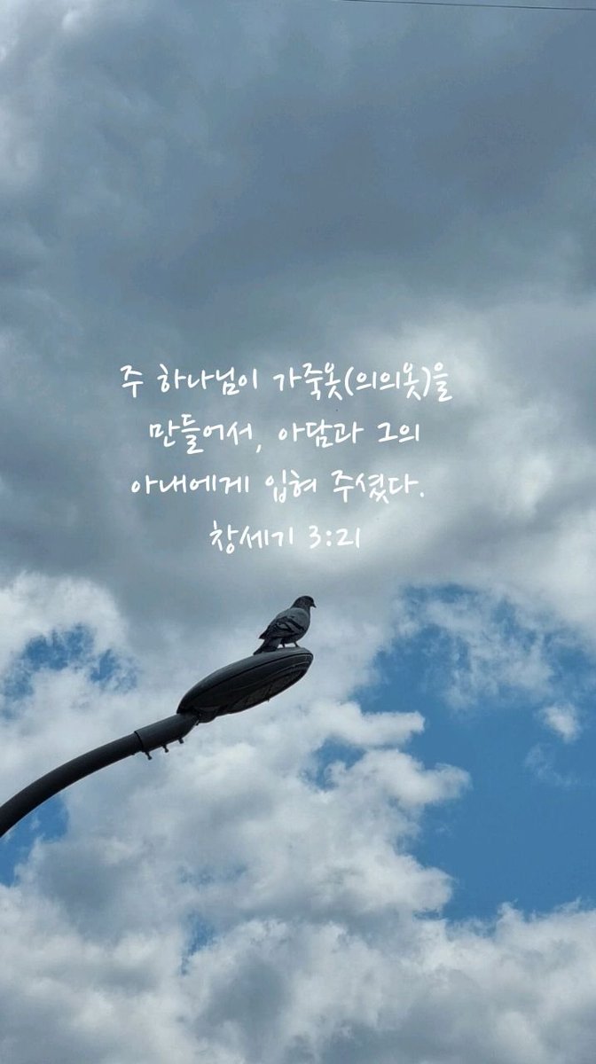 꿈꾸는 사람knetz tweet media