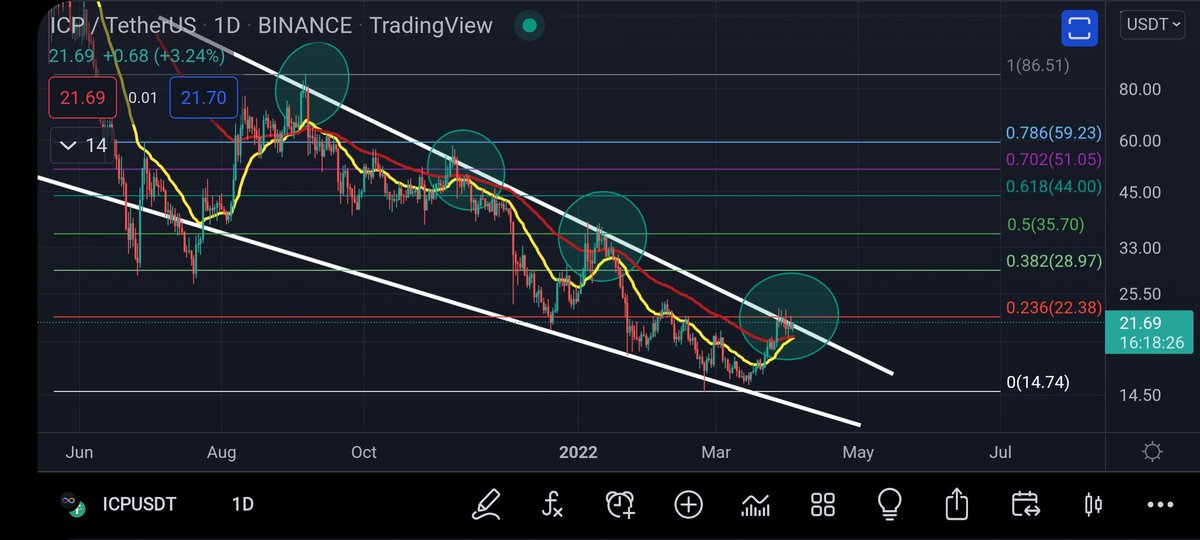 CoinsKid tweet media