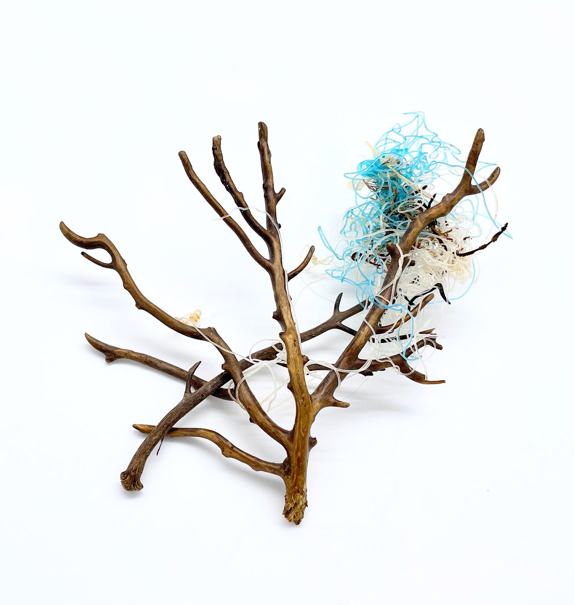 LegoLostAtSea's tweet photo. So many of the pink sea fans (a type of coral) we come across have debris from the deep attached to them. We've found hundreds in recent weeks/months, tangled in everything from underpants to glasses and gillnet. #seafangle https://t.co/KyNr0TvyKi