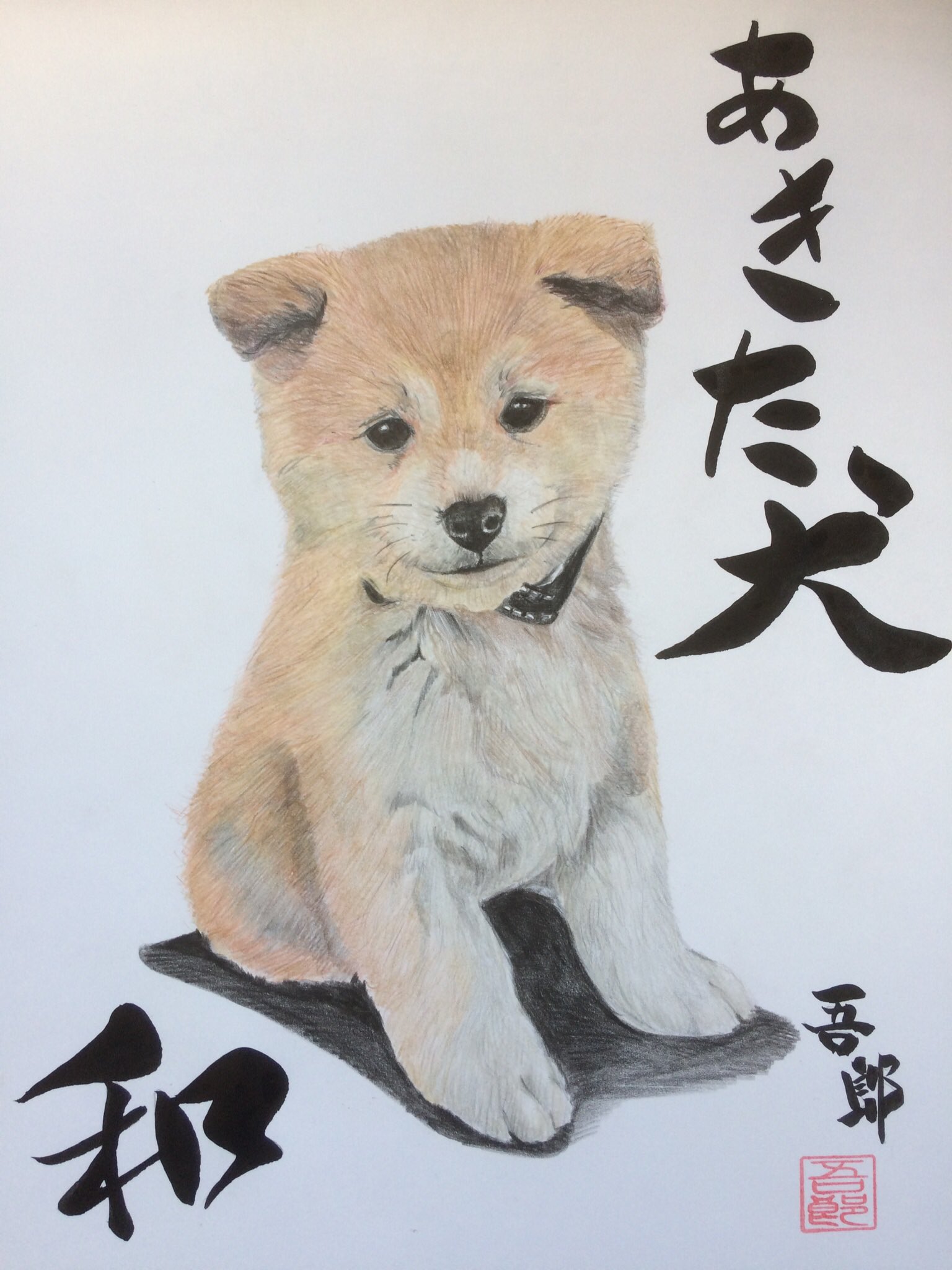 تويتر 大阪吾郎アートスタジオ على تويتر 秋田犬 色鉛筆アート 秋田県 秋田犬 秋田犬イラスト T Co Phnle0ci6t