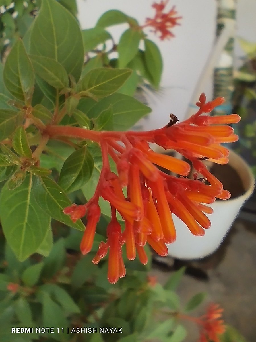 ashishnayakone's tweet photo. Sunday Hot 🥵 Click
#HotClick #photography #clickon https://t.co/lCcYGBBU3I