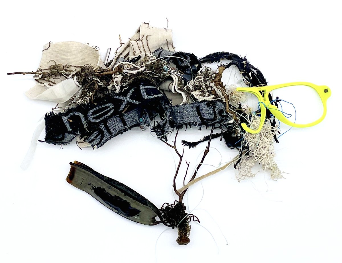LegoLostAtSea's tweet photo. So many of the pink sea fans (a type of coral) we come across have debris from the deep attached to them. We've found hundreds in recent weeks/months, tangled in everything from underpants to glasses and gillnet. #seafangle https://t.co/KyNr0TvyKi
