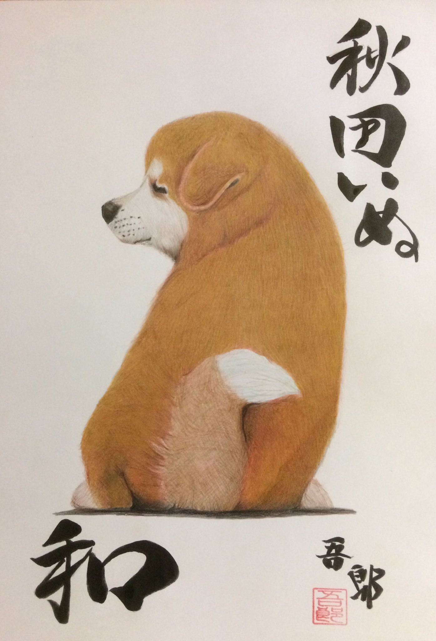 秋田いぬ Twitter Search Twitter