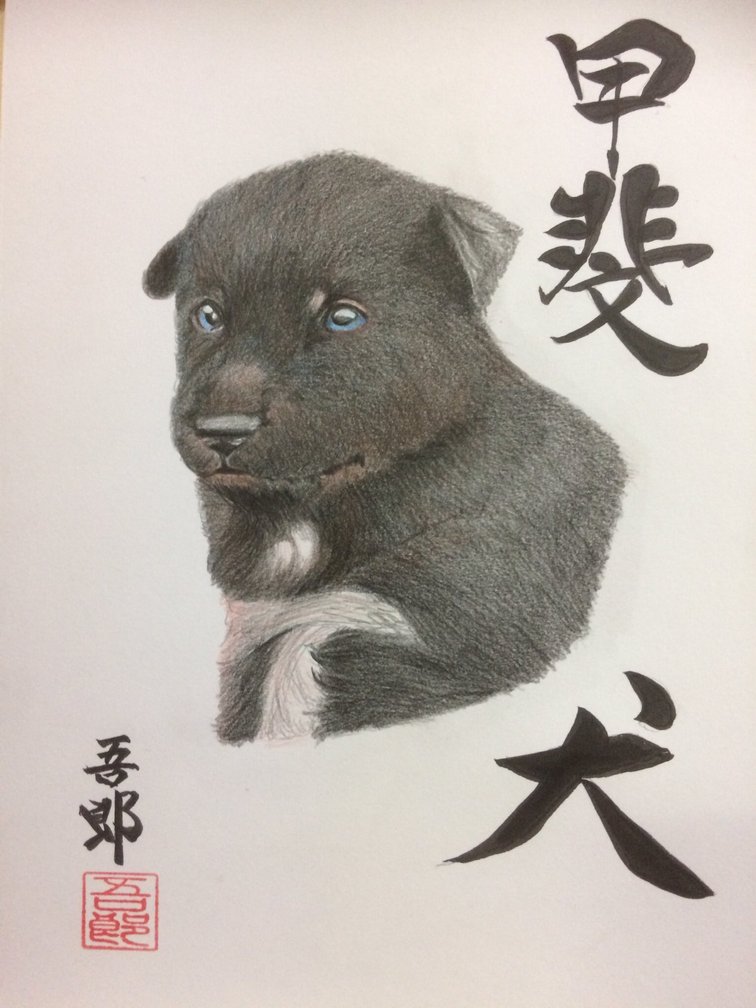甲斐犬イラスト Twitter Search Twitter