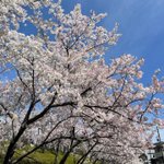 都ホテル 岐阜長良川のツイート画像