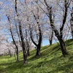 都ホテル 岐阜長良川のツイート画像