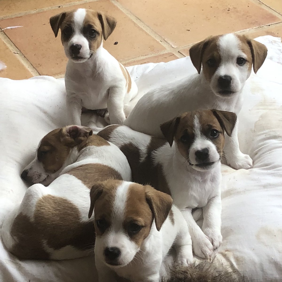 Phil Barrett-Lennard tweet media