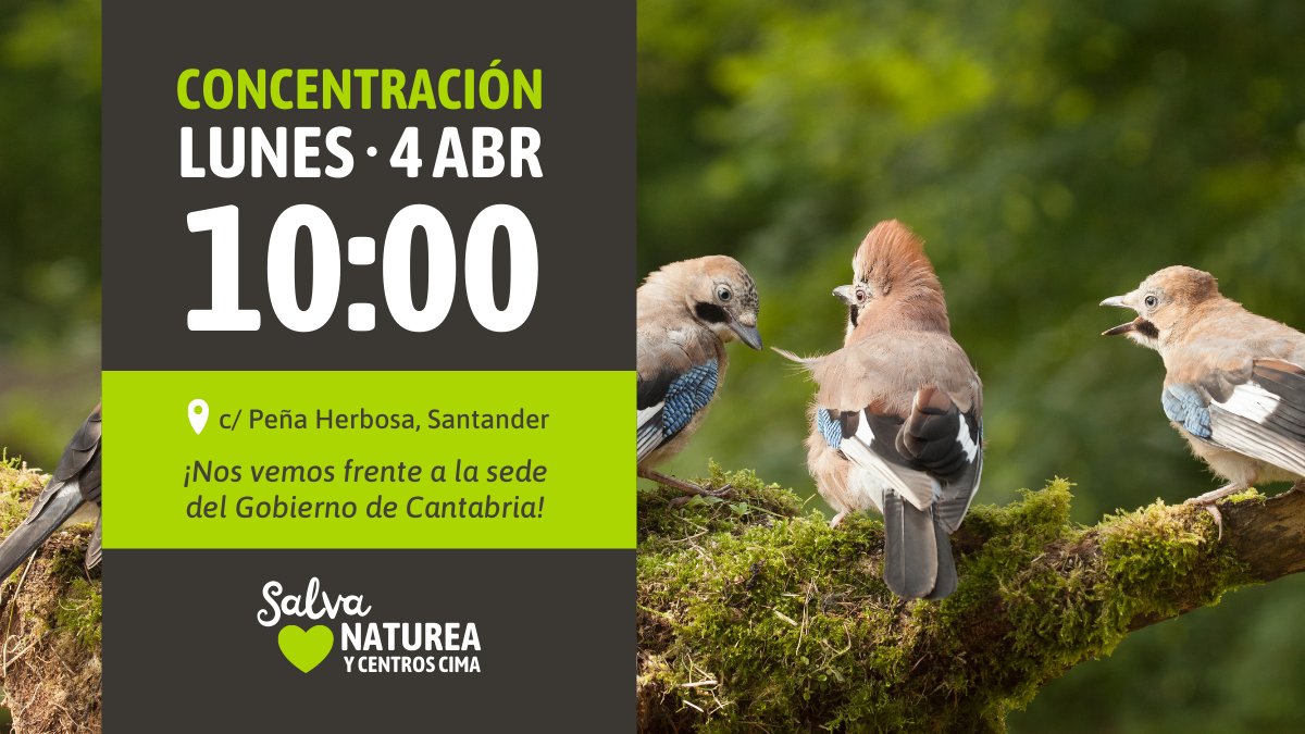 Por hartazgo y preocupación de unos.
Por ineptitud, desinterés y falta de coherencia de otros.🙈
Porque es deplorable que después de 9 meses la situación continúe así y algunos trabajadores ya no estén trabajando. 
¡Nueva concentración!
#SalvaNaturea 💚#Cantabria
