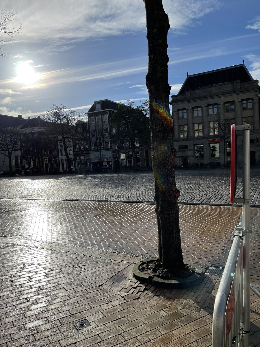 EsraJD's tweet photo. Geluksmomentje zo op de vroege ochtend. #regenboom https://t.co/wazerBztk2