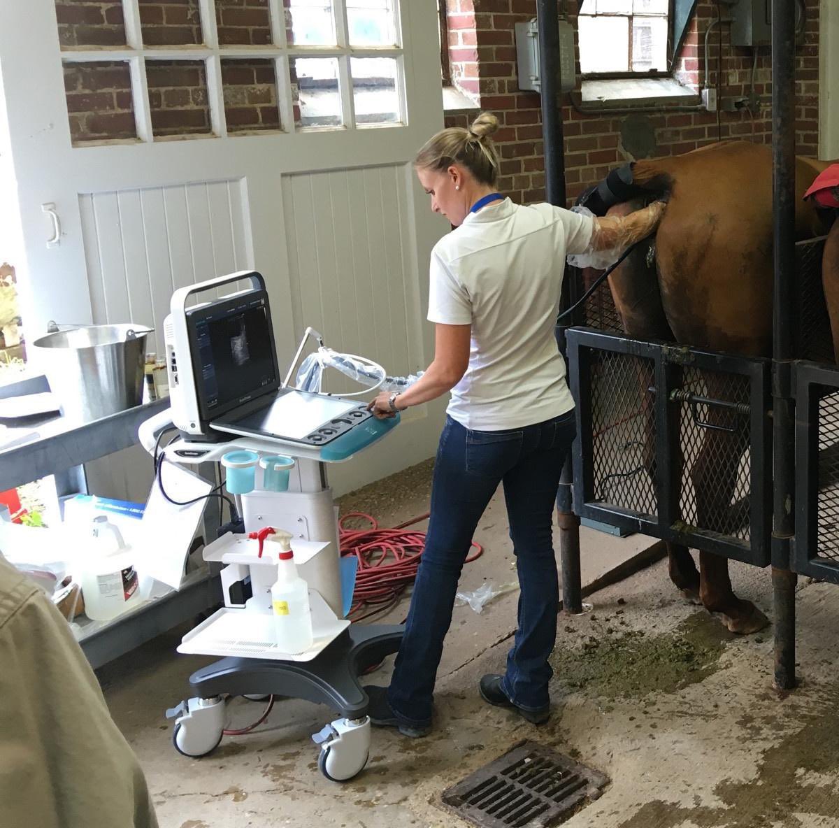 Immer wenn ich denke ich habe einen besch… Job, schaue ich mir Fotos von TierärztInnen an. Dann geht es wieder.
Credit an <a href="/GERpocus/">Felix Lorang DFTT</a>