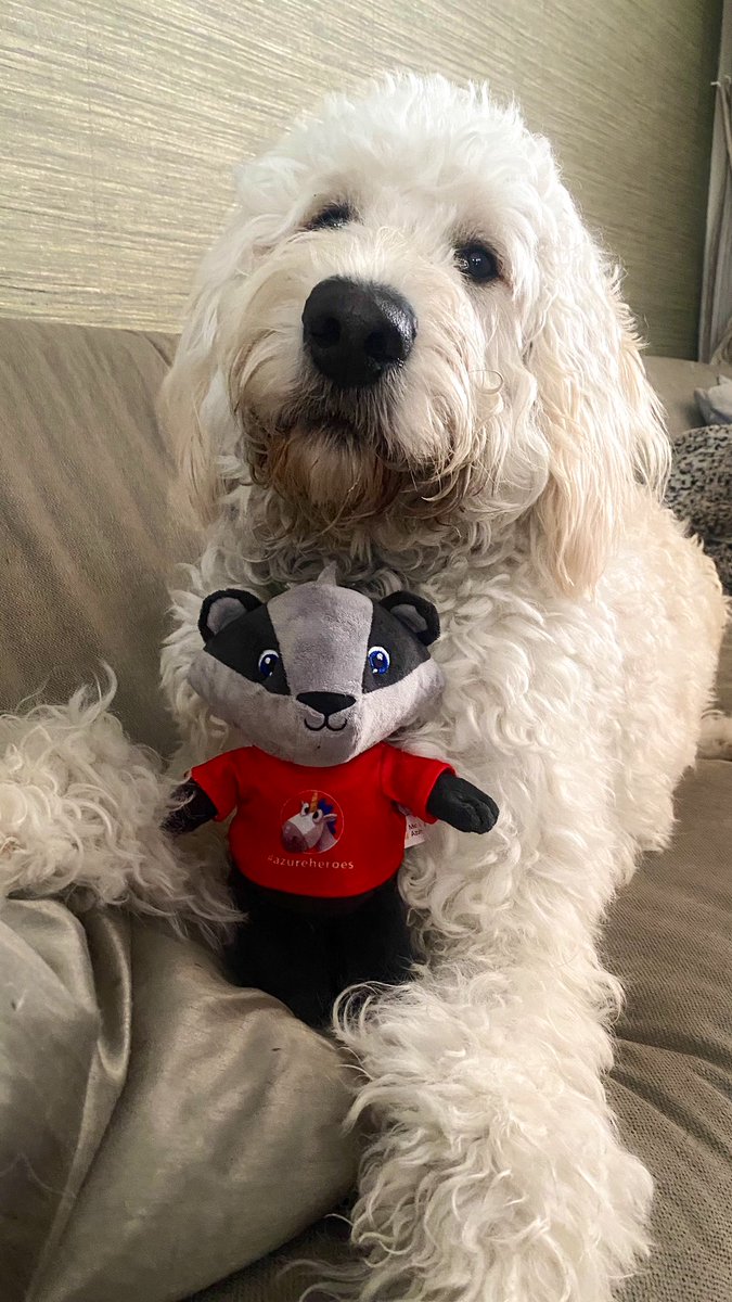 One of my @AzureHeroes badgers found a great four-legged furry friend named Lorentz lately! 🐾🦡 😁

#azureheroes #labradoodle #developerpet #devpet #azure