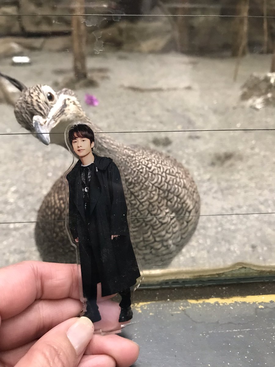 6262626nt's tweet photo. めっちゃ狙われてるやんwww
 
#カツン担アクスタ撮るのへたくそ選手権 https://t.co/b5tmtwtGXY