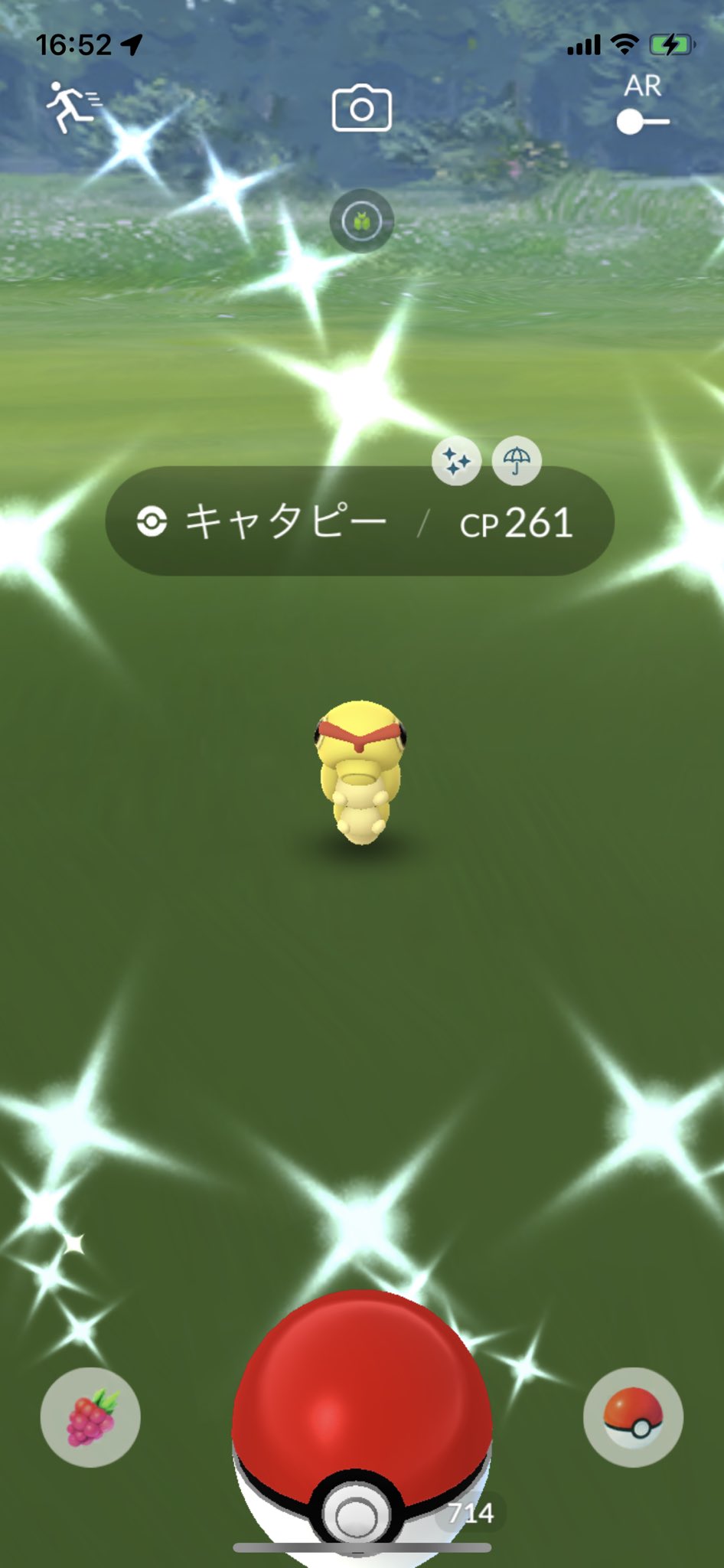 Big Tree キャタピーの色違い 初ゲット 進化して柿の種トランセルにしようかな 可愛い色なので このままもアリ ポケモンgo ポケgo キャタピー 色違い T Co He51uylwqp Twitter