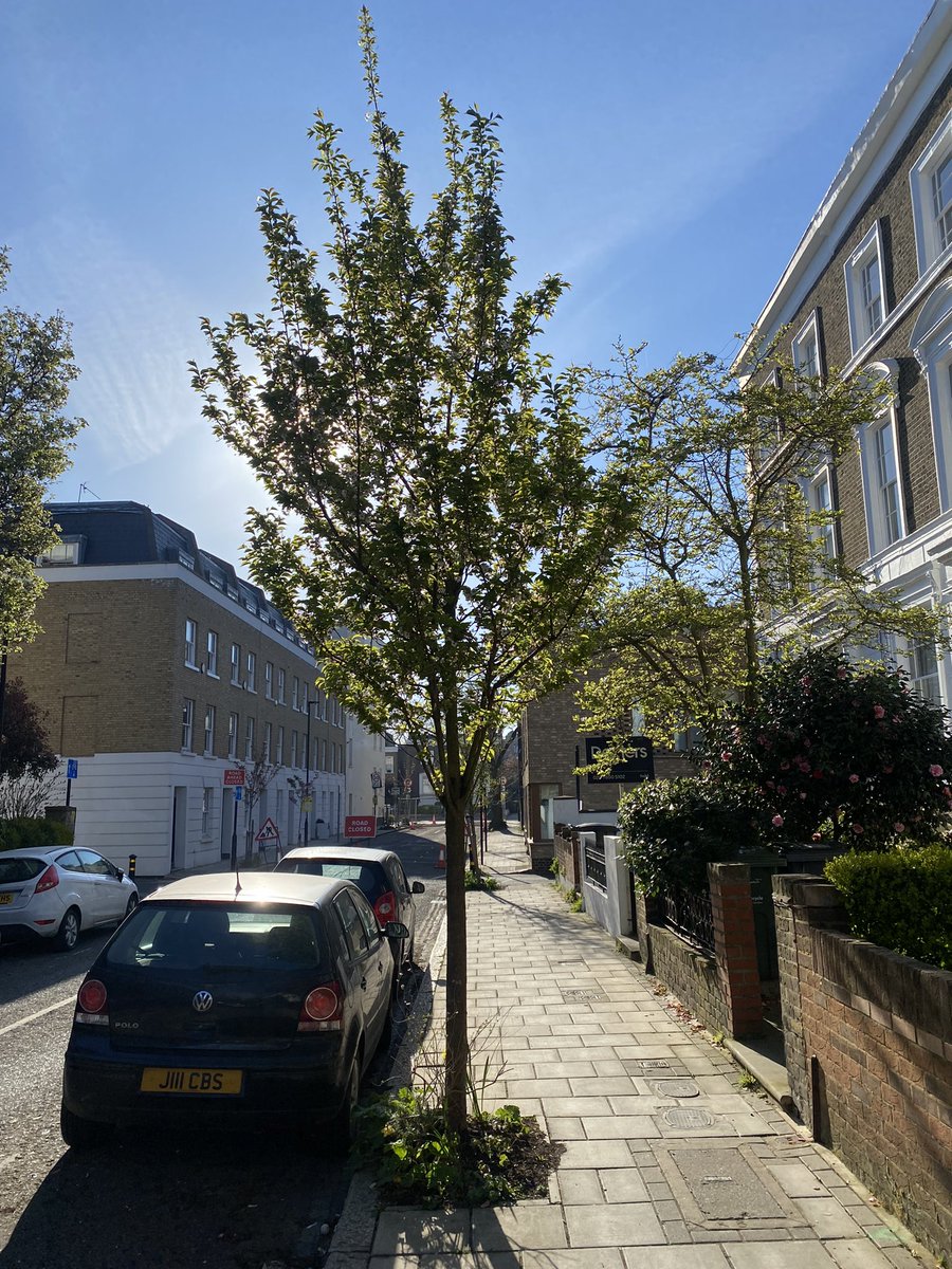 SaveOvalStreets's tweet photo. Good morning from the Oval to Stockwell #LTN 

It’s permanently in place now - hooray! - and the planters at the junction of Richborne Terrace and the A3 Clapham Road are being built out….

Spring is coming!

☀️🚲🚶‍♀️🚶🏽‍♂️🧑‍🦽🌞😎🌸🌷🌻🌼🌹 https://t.co/8TCL0R8wEF