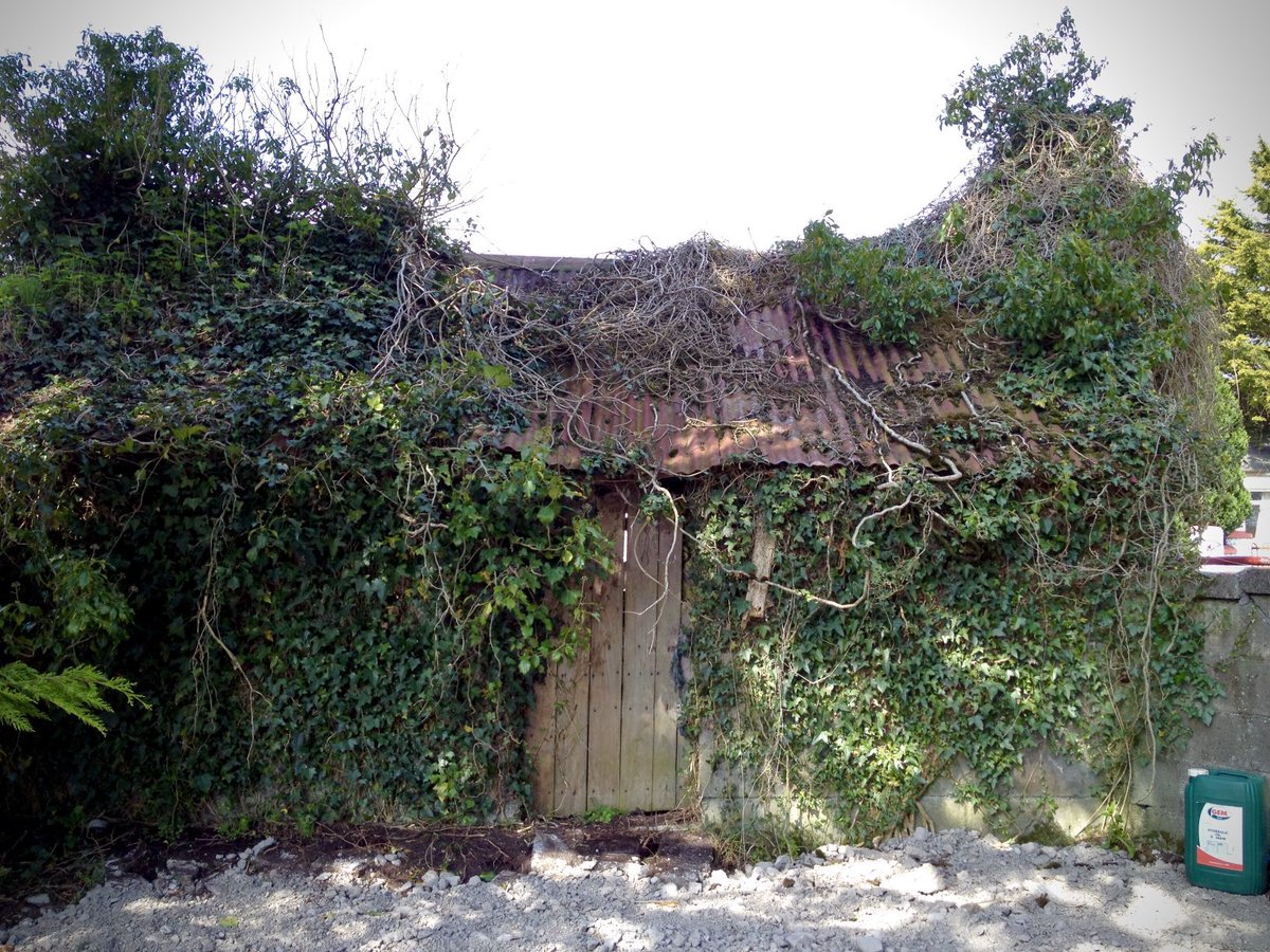 Abandoned henhouse. Every year we used to visit the farm in Ireland where my Mum grew up. We’d go into this henhouse and the chickens would peck at our feet. Happy days! 
-
#grimart
<a href="/GrimArtGroup/">Grim Art</a>