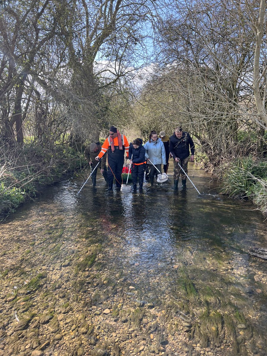 IFMFish's tweet photo. Another fun afternoon of #monitoring with the IFM #training team yesterday.
A tiny stream turned up lots of fish and was a great test for the new @Fishtrack1 electric fishing kit 👍 https://t.co/2Zro8hbBrD