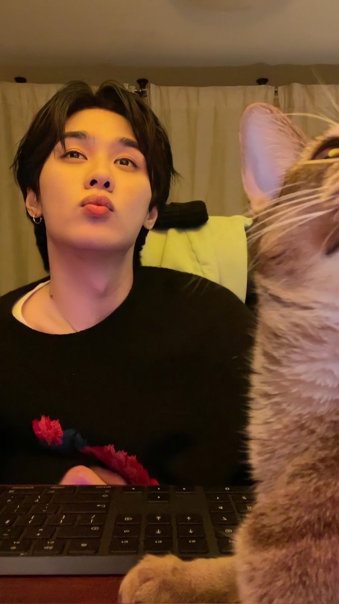 KunB0t's tweet photo. AA, perdon por estas inactivo solecitos🐾

   ¿como estan? ¿que tal su día? Espero haya sido lindo, recuerden que todo mejora.🌙
 
                                                         les quiero mucho♡ https://t.co/cgXMKaSw9t