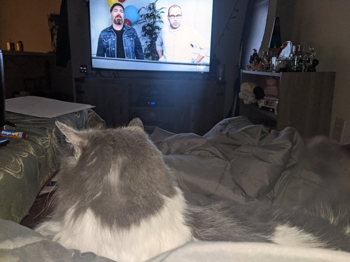 EricaM500's tweet photo. Cat on my lap , #impracticaljokers on my TV, Im in bliss @BQQuinn  @SalVulcano  @jamessmurray  @thetenderloins  i love this!!! Cant wait for more https://t.co/ppwspL7nh6