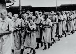 JohnSClark77's tweet photo. @CheriJacobus @DemCastUSA @Eleven_Films @donwinslow @ReallyAmerican1 @ProjectLincoln 
 
Eighty years ago in Europe... https://t.co/zJI81iaPT9