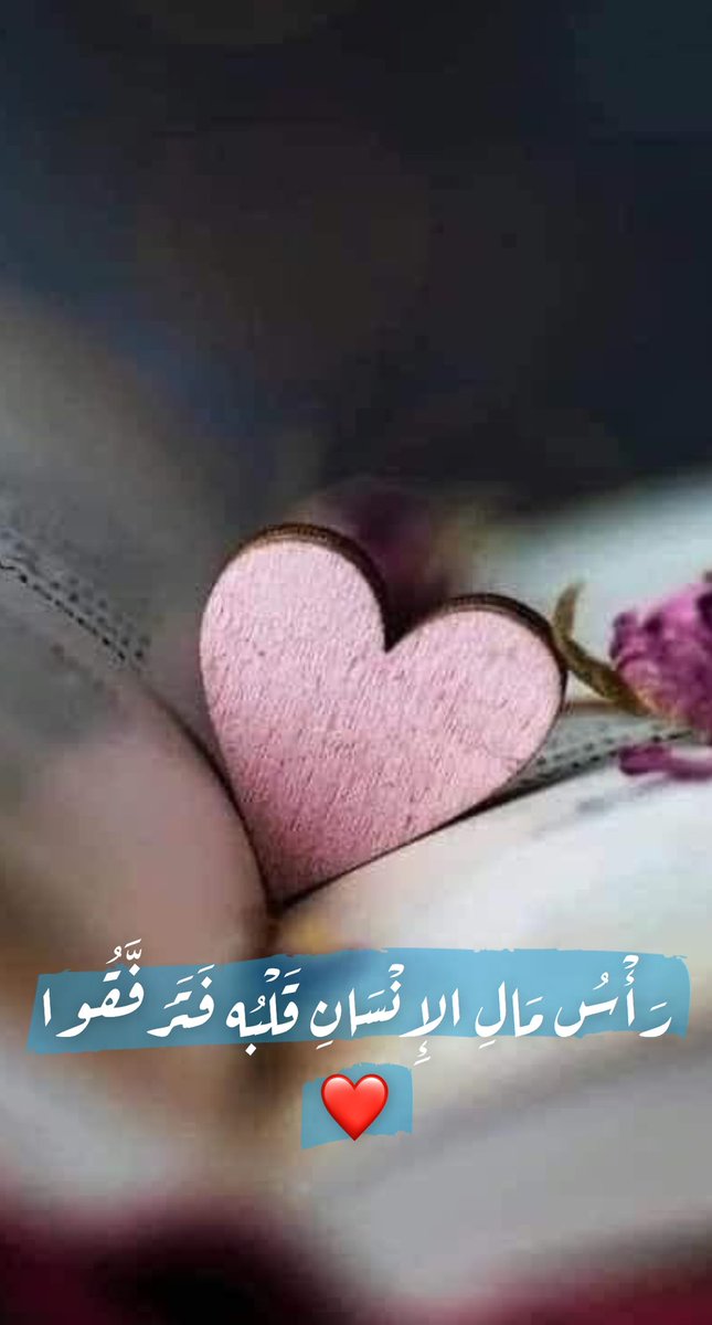 رَأْسُ مَالِ الإِنْسَانِ قَلْبُه فَتَرَفَّقُوا❤️

#لـورد