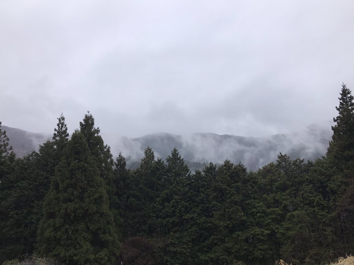 rahanohi's tweet photo. 東京都檜原村尾根通
流れる雲の合間に見える浅間嶺の山並み
#ここは東京都檜原村
#尾根通ハウス
#檜原村
#イマソラ https://t.co/bnIgKpPlcL