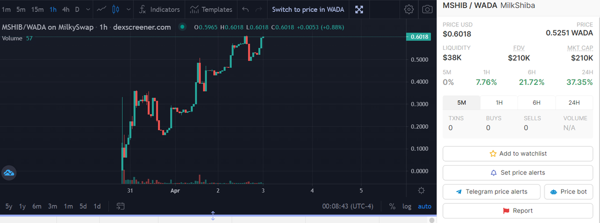 MilkShiba tweet media