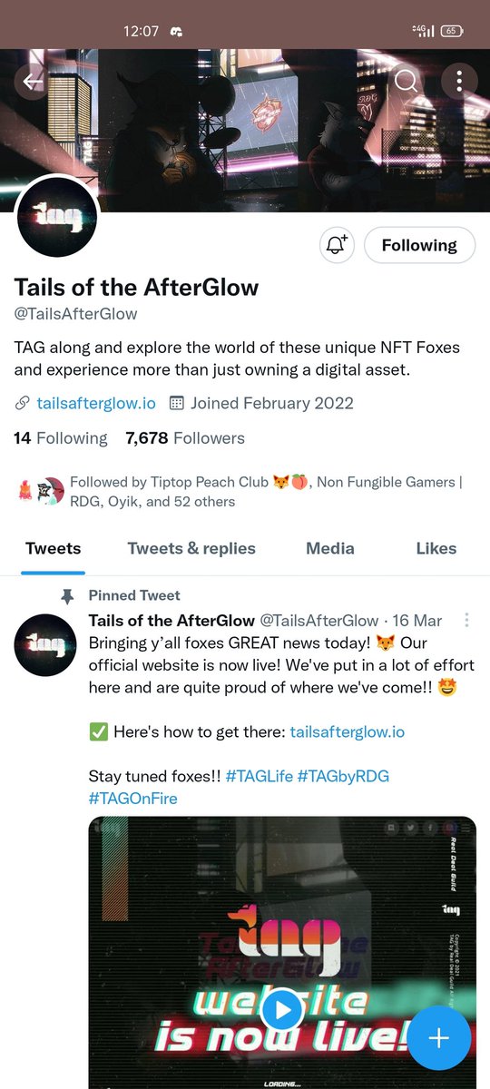 mojnft's tweet photo. @shadliebug @TailsAfterGlow #TAGLife 
@ihaxsofia @jmrcnft @Vladsbautista @cappcokexx_ @nftakumi https://t.co/On387gkouV