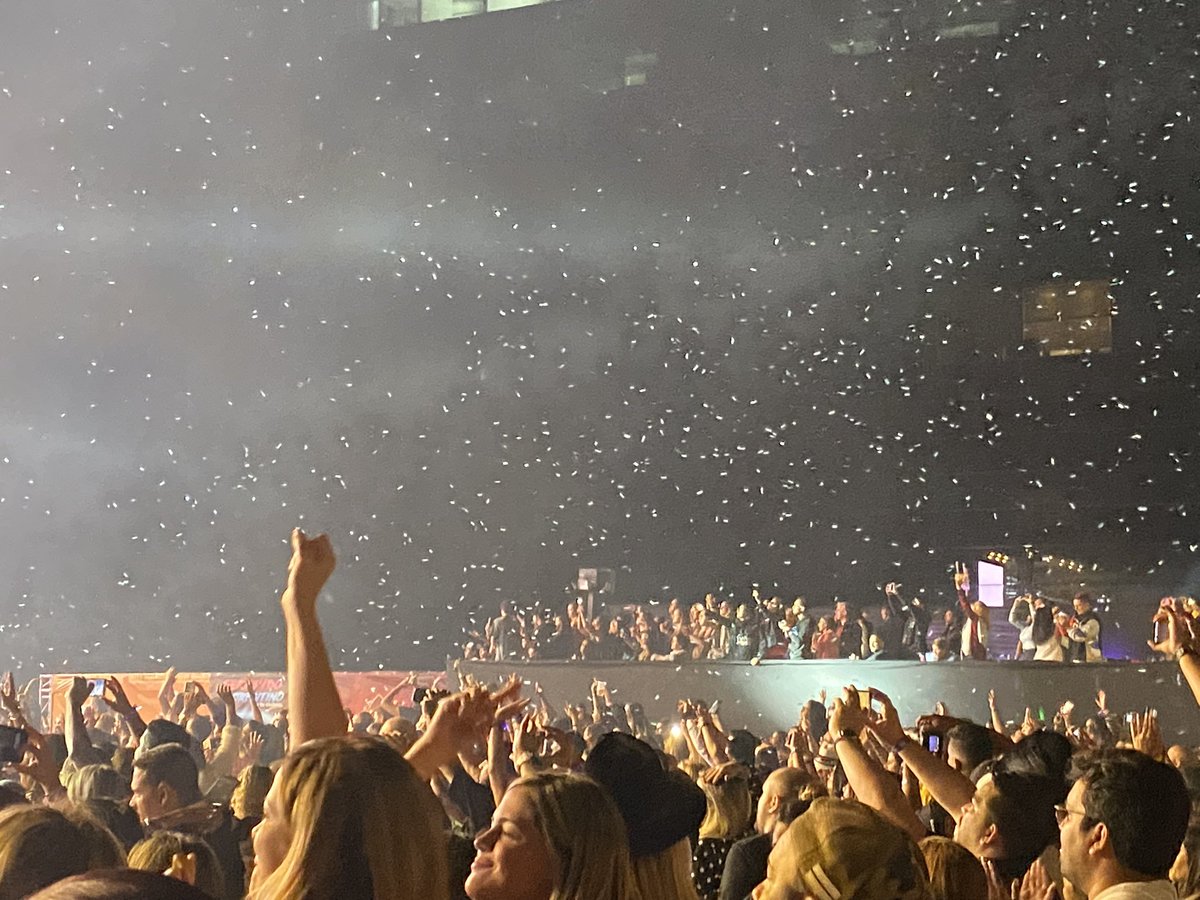 Gabriel Bolívar tweet media