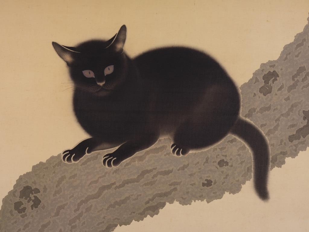 黒の魅力》 #熊本城 #二の丸広場 では時々黒猫を見かけることが